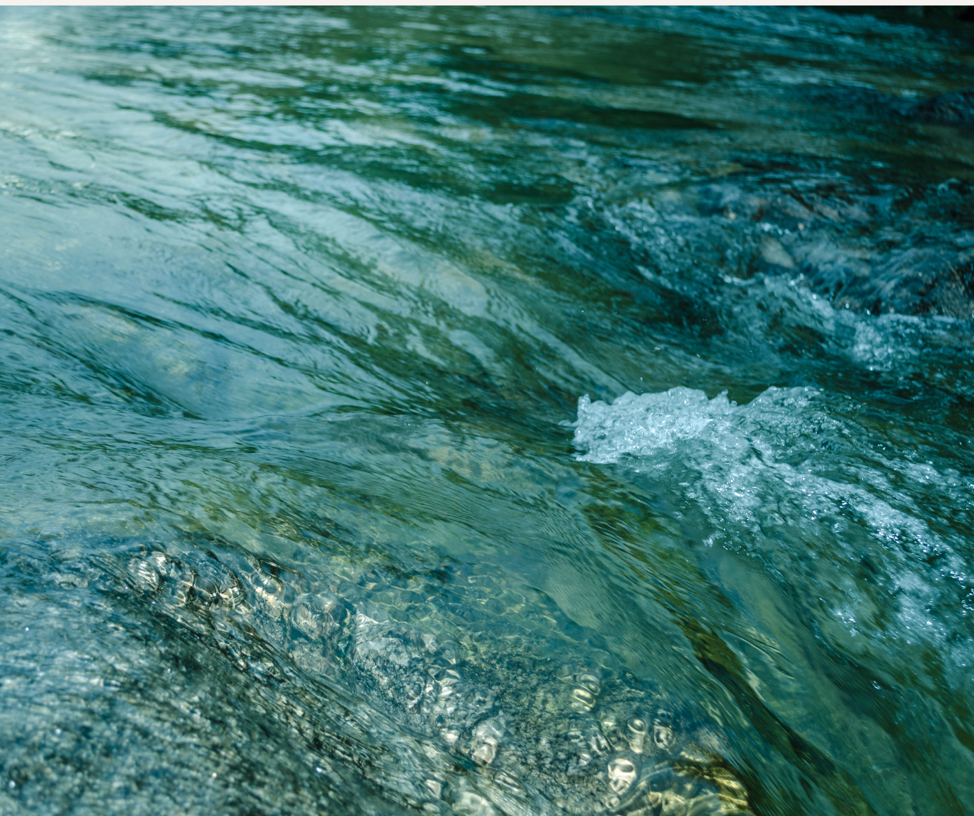 Wholesale Fish Scale Collection