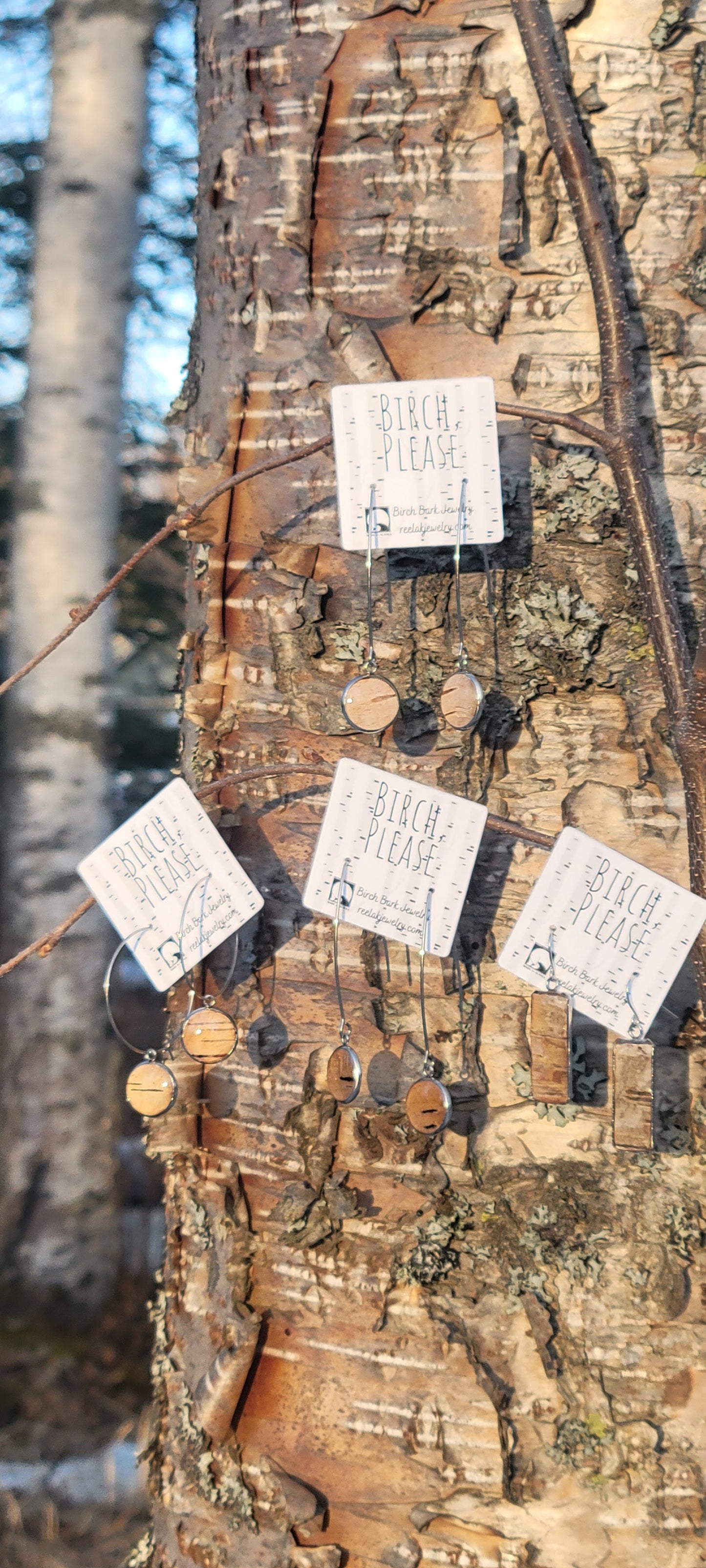 The Charlotte - Our Round Birch Hoop Earrings - Wholesale