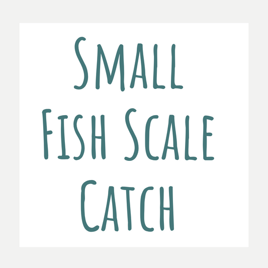 New Wholesale Clients - Small Fish Scale Catch