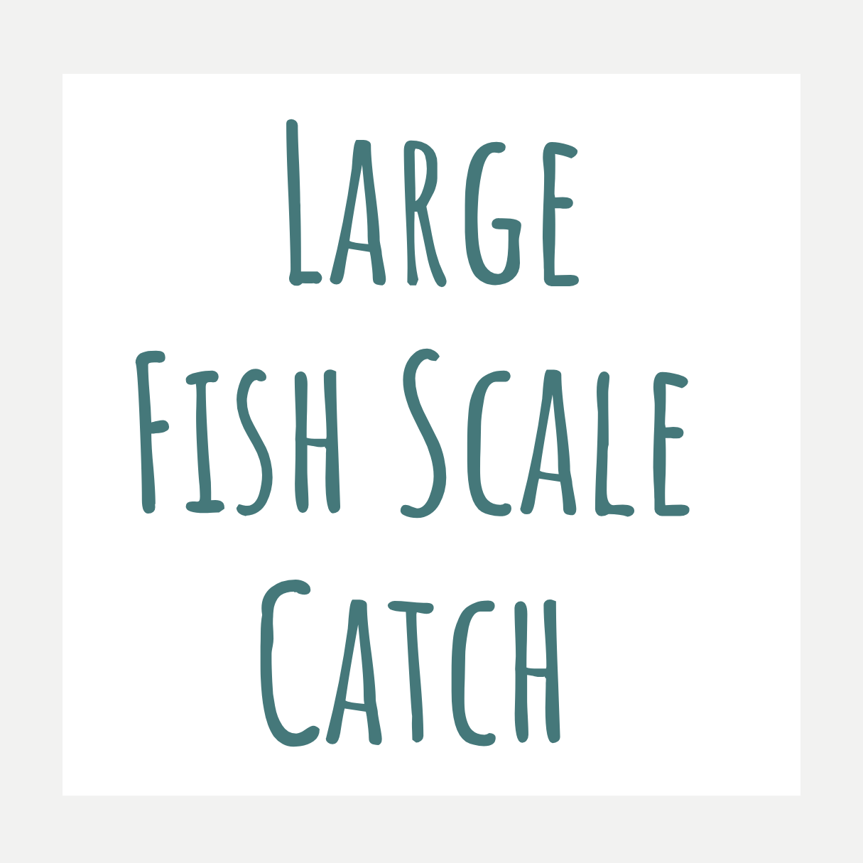 New Wholesale Clients - Large Fish Scale Catch