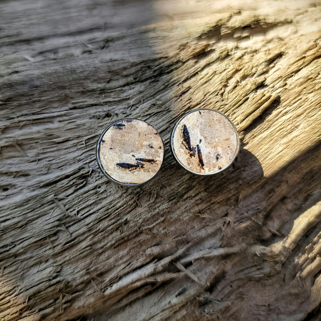 The Aria - Our Round Birch Stud Earrings - Wholesale