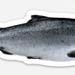 The Sticker - Our salmon with floral crown vinyl sticker