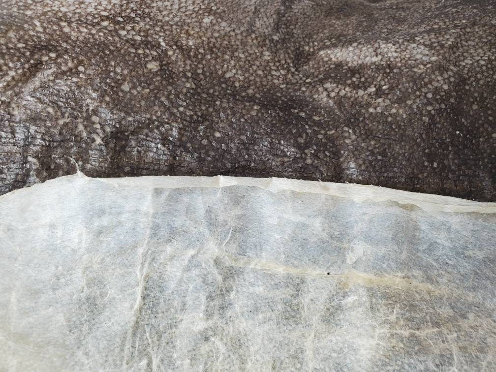 The Samantha - Our Halibut Leather Circular Band Earrings - Wholesale